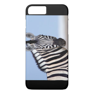 title_seo2 Zebra mirándote