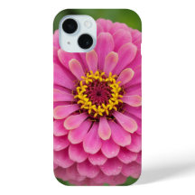Zinnia rosa - floral