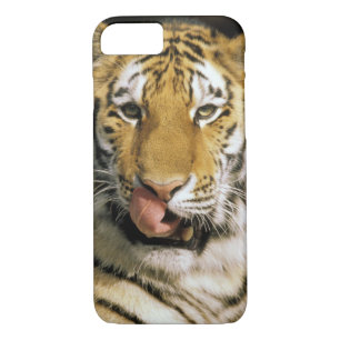Funda Para iPhone 8/7 Zoológico de Tiger Michigan