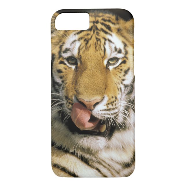 Funda De Case-Mate Para iPhone Zoológico de Tiger Michigan (Reverso)