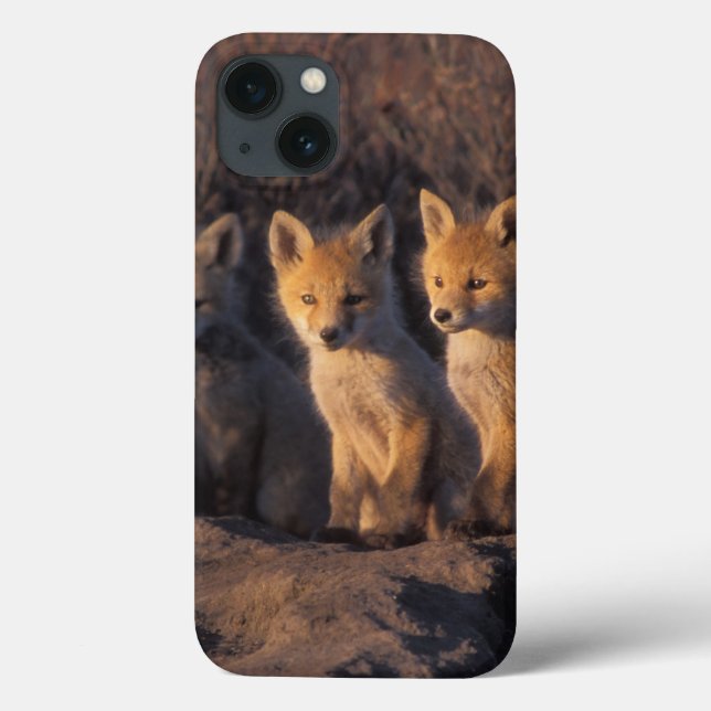 Funda De Case-Mate Para iPhone zorro rojo, Vulpes vulpes, crías (Reverso)