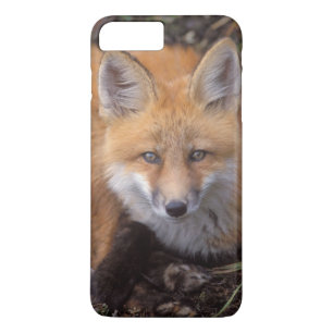 Funda Para iPhone 8 Plus/7 Plus zorro rojo, Vulpes vulpes, en colores de otoño