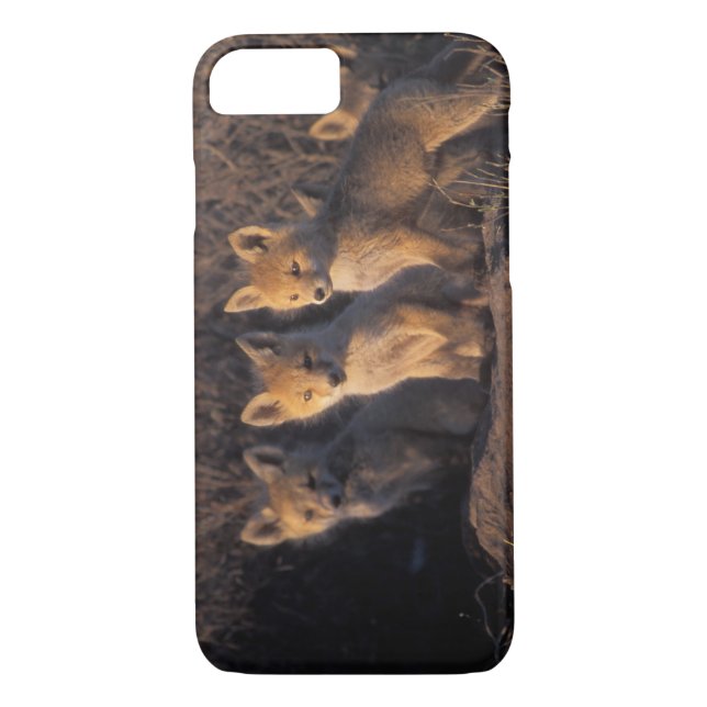 Funda De Case-Mate Para iPhone zorro rojo, vulpes vulpes vulpes, kits (Reverso)