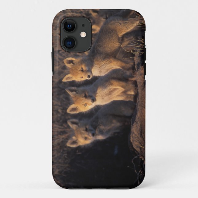 Funda De Case-Mate Para iPhone zorro rojo, vulpes vulpes vulpes, kits (Reverso)