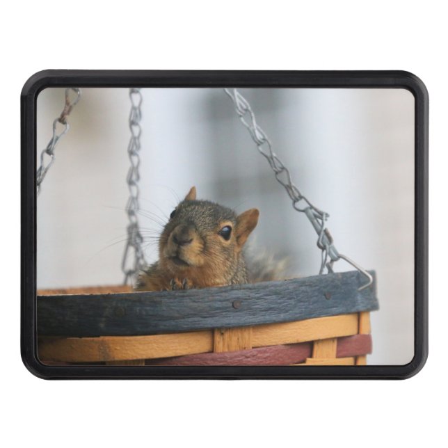 Funda de cesta (Anverso)