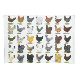 Funda De Cojín 49 gallinas del pollo
