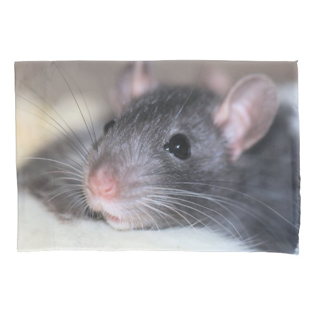 Funda De Cojín Adorable (Anverso)