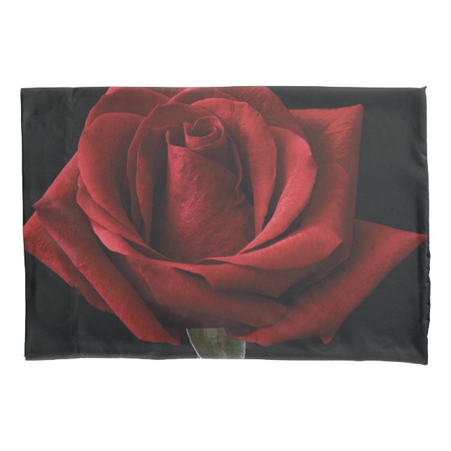 Funda De Cojín Almohada de tirar rosa roja (Anverso-izquierdo)