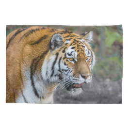 Funda De Cojín Amur tiger