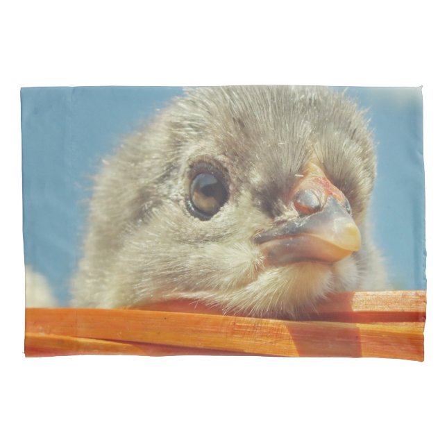 Funda De Cojín animales de bebé (Anverso)