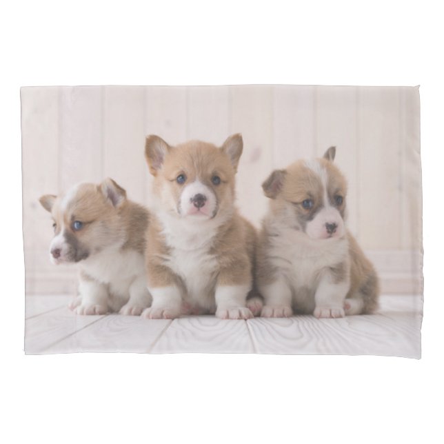 Funda De Cojín Animales de bebé más afectados | 3 Baby Corgis (Anverso)