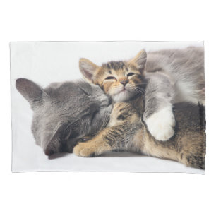 Funda De Cojín Animales de bebé más afectados Abrazo de gatitos