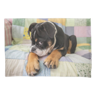 Funda De Cojín Animales de bebé más afectados Antiguo y tímido