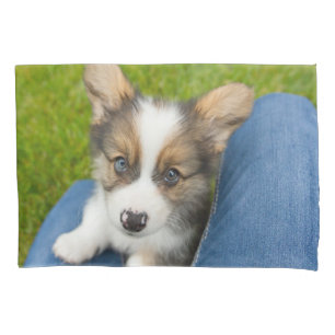 Funda De Cojín Animales de bebé más afectados Baby Corgi en mi