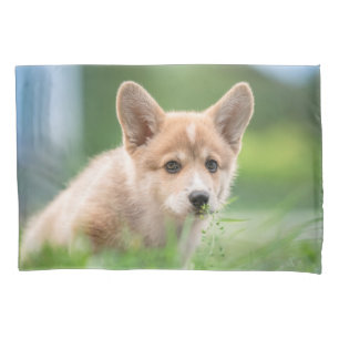 Funda De Cojín Animales de bebé más afectados Cachorro de Corgi