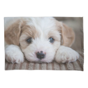 Funda De Cojín Animales de bebé más afectados Cavashon Puppy