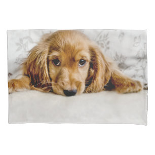 Funda De Cojín Animales de bebé más afectados Cocker Spaniel Pu