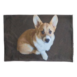 Funda De Cojín Animales de bebé más afectados Corgi Buscando