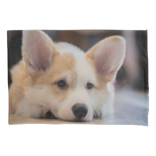 Funda De Cojín Animales de bebé más afectados Corgi Puppy solit