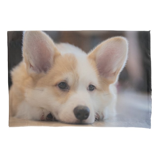 Funda De Cojín Animales de bebé más afectados | Corgi Puppy solit (Anverso)