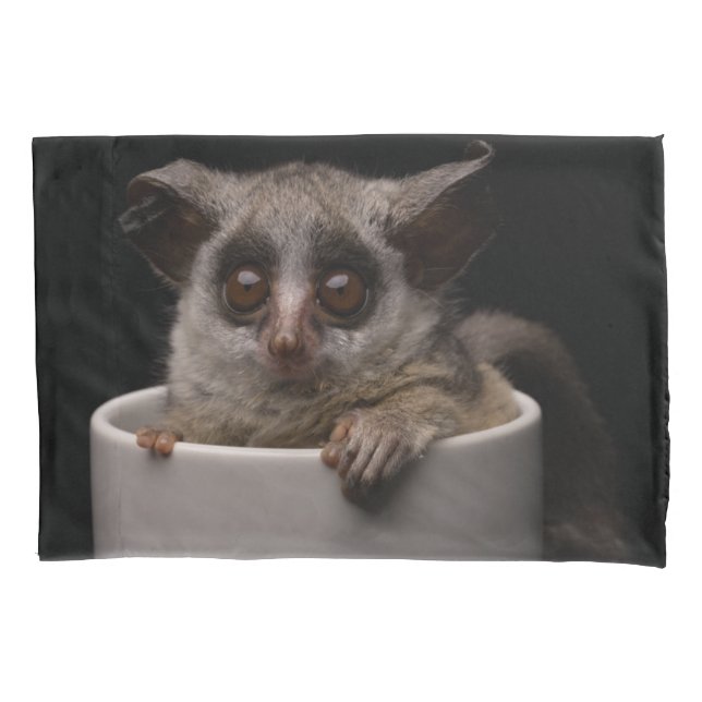 Funda De Cojín Animales de bebé más afectados | Cute Bushbaby (Anverso)
