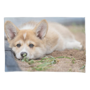 Funda De Cojín Animales de bebé más afectados   El corgi en el ya