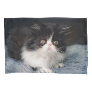 Funda De Cojín Animales de bebé más afectados Fluffy B&W Kitten