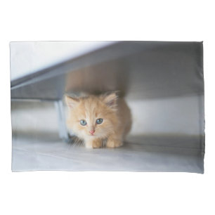 Funda De Cojín Animales de bebé más afectados Fluffy Naranja Ki
