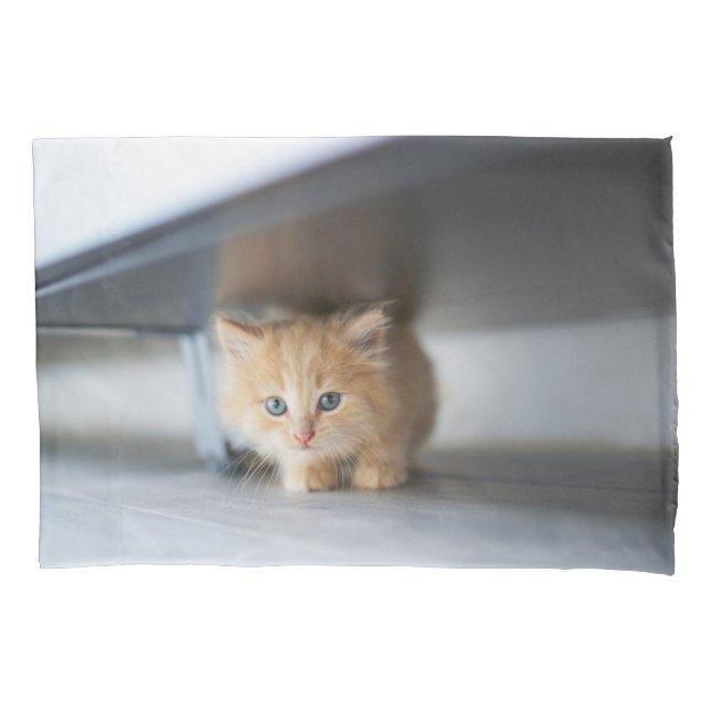 Funda De Cojín Animales de bebé más afectados | Fluffy Naranja Ki (Anverso)