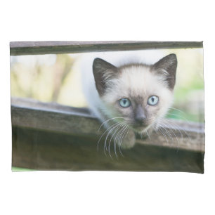 Funda De Cojín Animales de bebé más afectados Gatito siamés 2