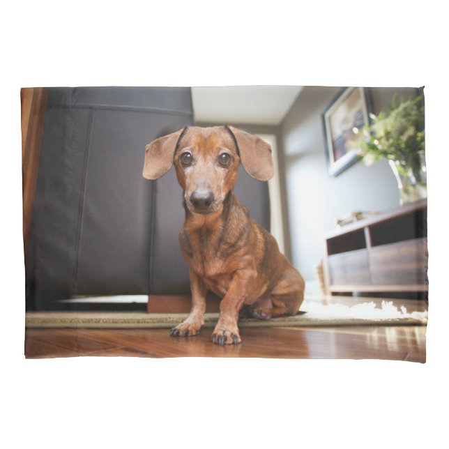 Funda De Cojín Animales de bebé más afectados | Mini Dachshund Pu (Anverso)