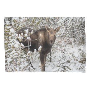 Funda De Cojín Animales de bebé más afectados Moose Calf