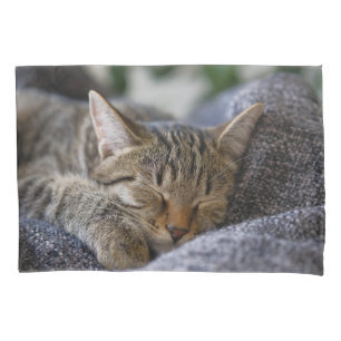 Funda De Cojín Animales de bebé más afectados Tabby Kitten Slee