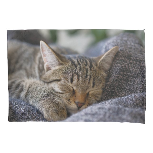Funda De Cojín Animales de bebé más afectados | Tabby Kitten Slee (Anverso)