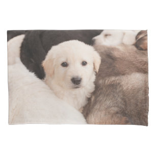 Funda De Cojín Animales de bebé más afectados Una pequeña píldo