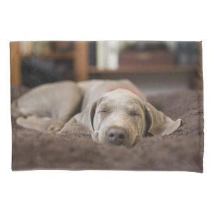 Funda De Cojín Animales de bebé más afectados Weimaraner Puppy
