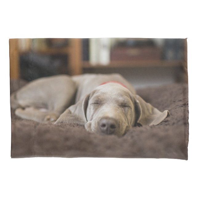 Funda De Cojín Animales de bebé más afectados | Weimaraner Puppy  (Anverso)