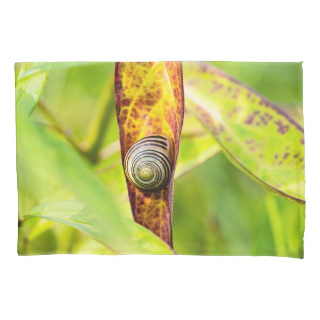 Funda De Cojín apego (Anverso)