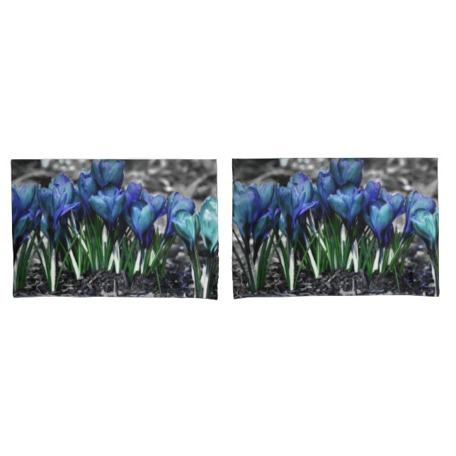 Funda De Cojín Aqua Blue Crocus Blooms (Anverso - Set)