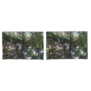 Funda De Cojín Árbol de aguacate