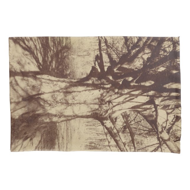 Funda De Cojín Árbol de haya (por Eugène Atget) (Anverso-izquierdo)
