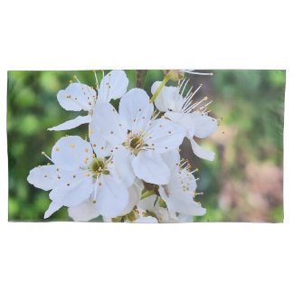 Funda De Cojín Árbol en Flor en Rumania en Primavera – Fotografía