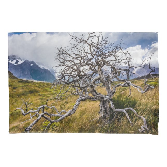Funda De Cojín Árbol quemado, Torres del Paine, Chile (Anverso)