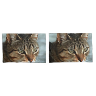 Funda De Cojín Asombroso retrato artístico del gato de Tabby