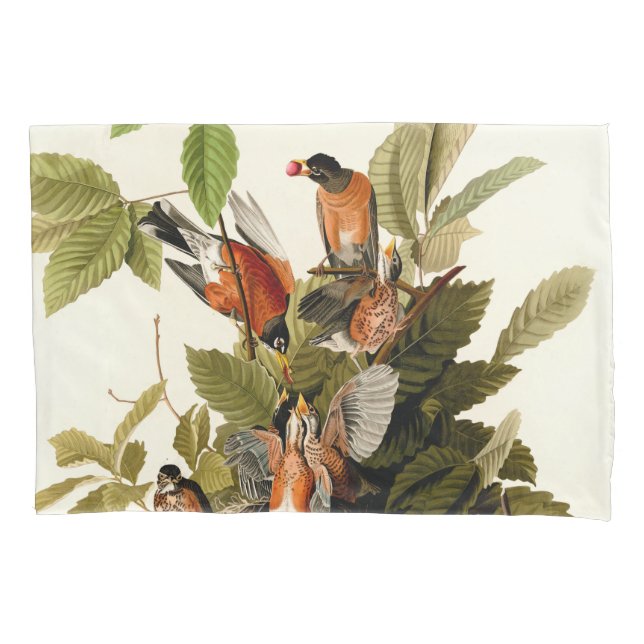 Funda De Cojín Audubon American Robin Wildlife Bird Ilustracion (Anverso)