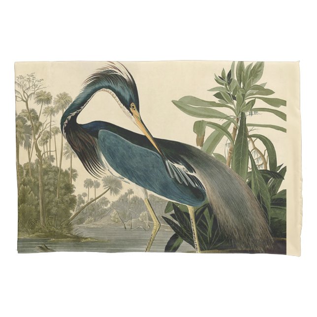 Funda De Cojín Audubon Louisiana Heron Birds America Art (Anverso)
