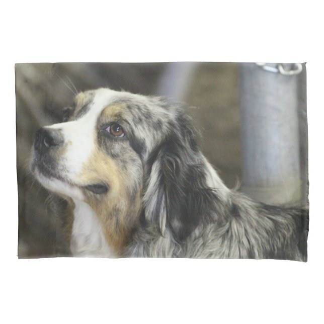 Funda De Cojín Aussie (Anverso)