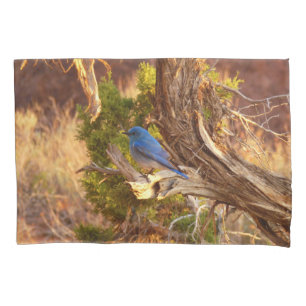 Funda De Cojín Azulejo Montañés en el Parque Nacional Arches