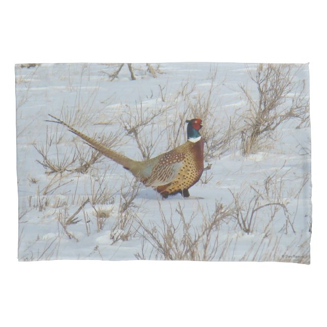 Funda De Cojín B22 Pheasant de cuello anaranjado en Nieve (Anverso)