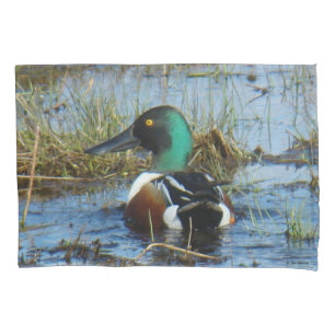 Funda De Cojín B25 Northern Shoveler Drake Spoonbill